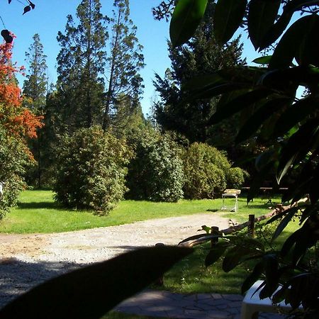 Cabanas Auquin Lemu Lago Puelo Exterior foto